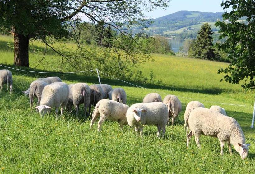 ホテル Bauernhof Schink