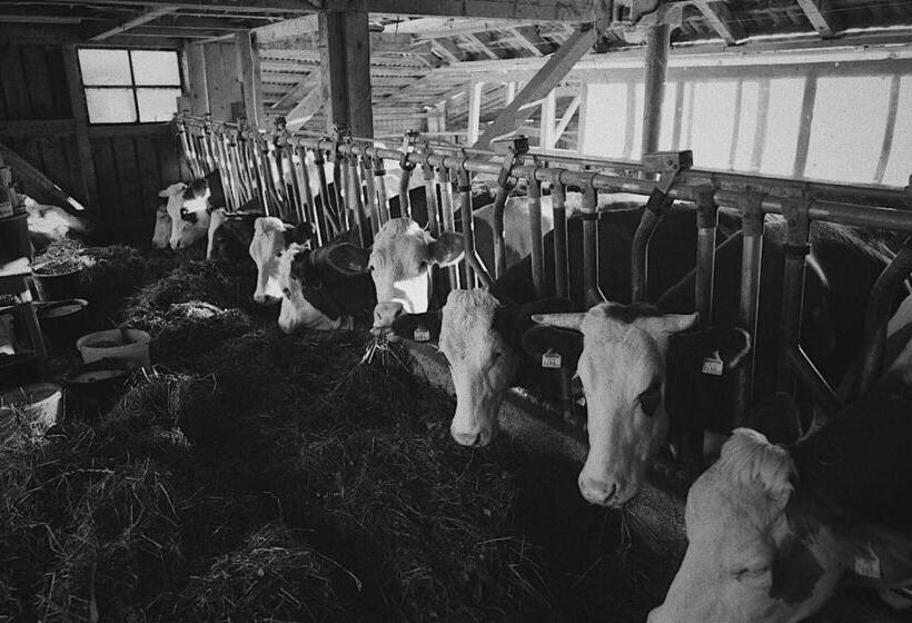 ホテル Bauernhof Schink