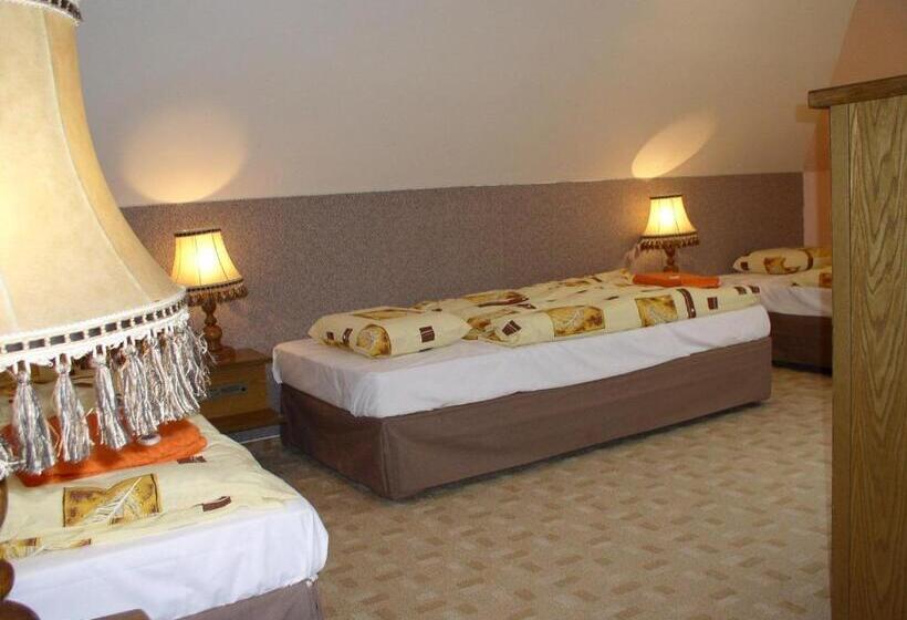 פנסיון Penzion Rozkoš