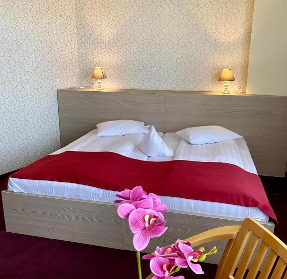 Pensiunea Rix Rooms