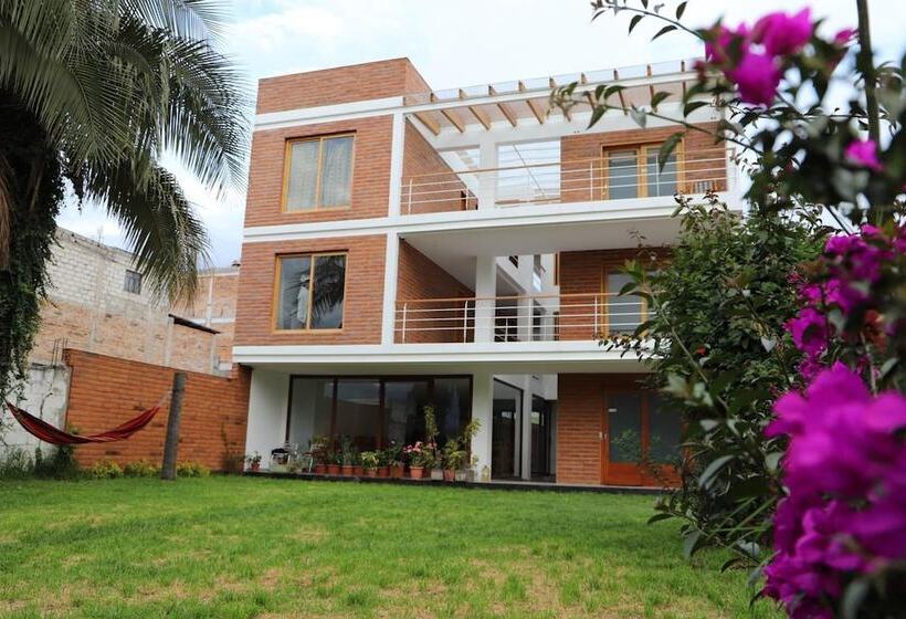 هاستل El Geranio