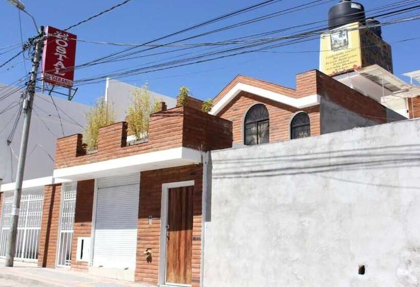 هاستل El Geranio