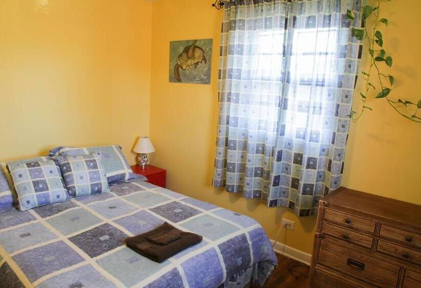 هاستل Fairhaven Guesthouse
