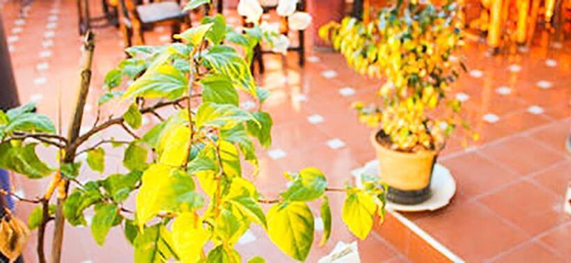 ユースホステル Jad Auberge