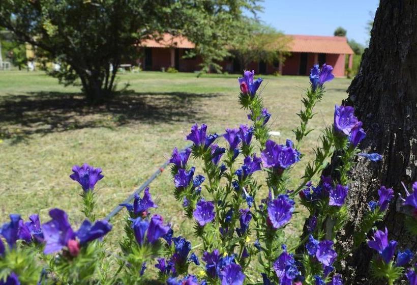 فندق صغير Posada Villapancha B&b
