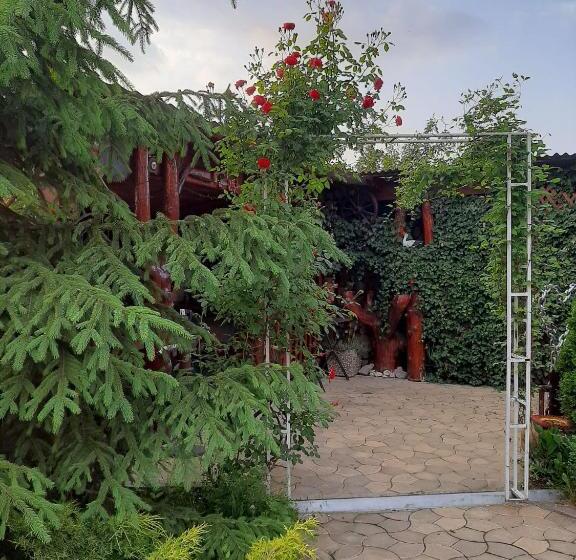 پانسیون Casa Neagu