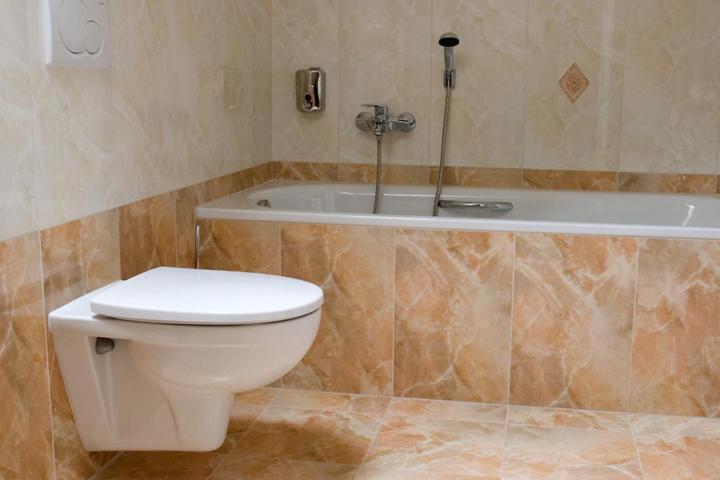 پانسیون Penzion Zlatý Vůl