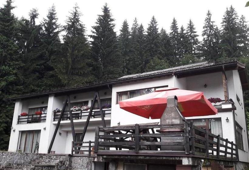 بنسيون Timis Valley, Casa Eni&dan