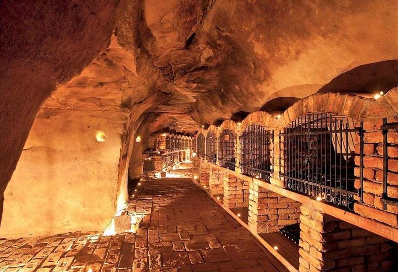 پانسیون Váš Sklep   Vinný Sklep A Penzion