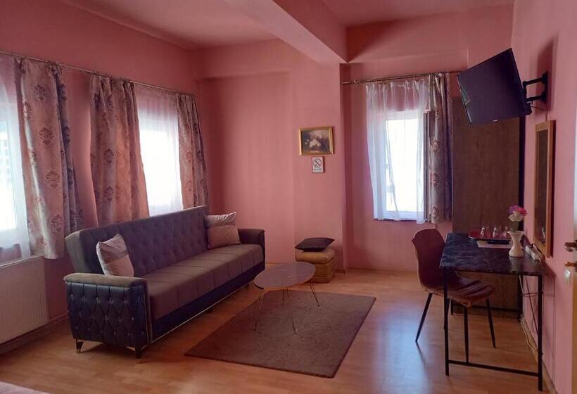Pensiunea Vila Dana