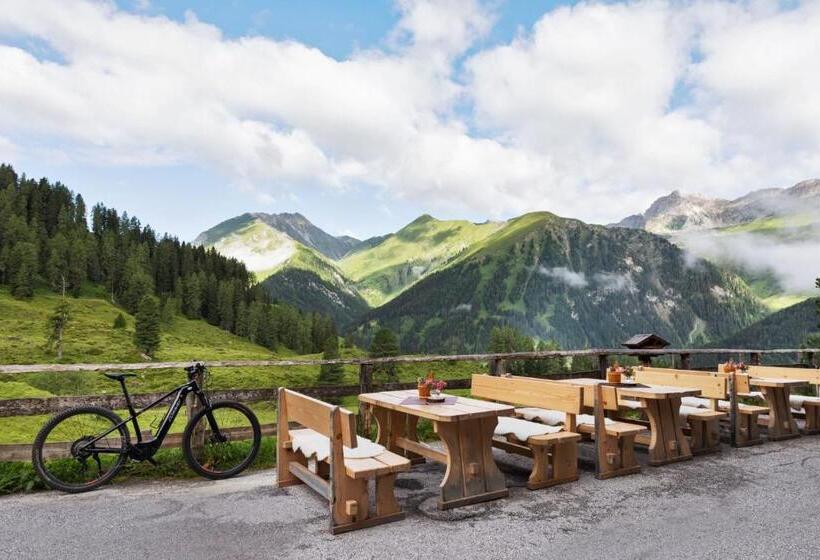 Общежитие Berggasthaus Höllensteinhütte