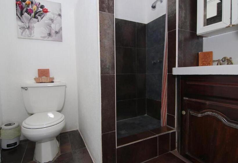 הוסטל Rainforest Haven Inn