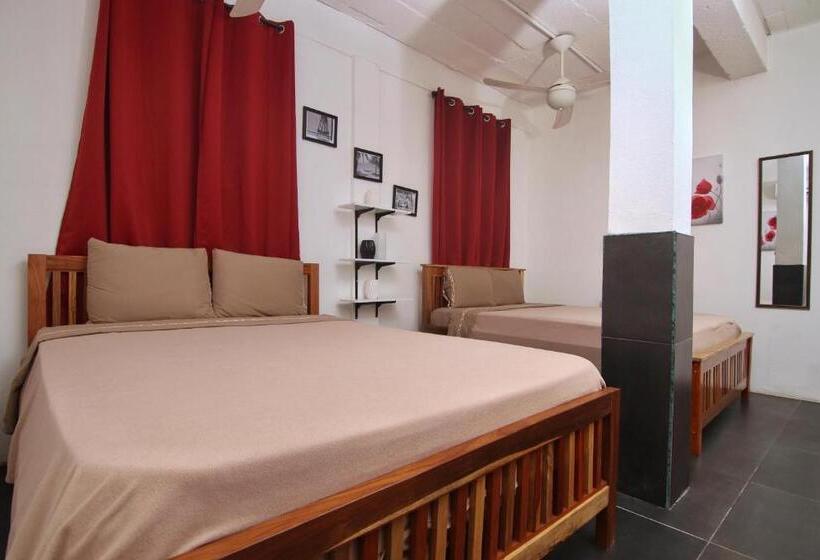 הוסטל Rainforest Haven Inn