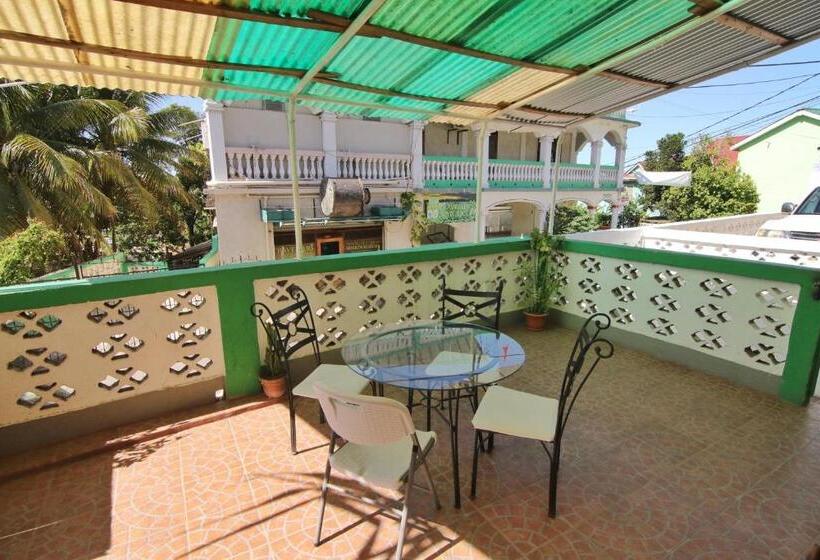 הוסטל Rainforest Haven Inn