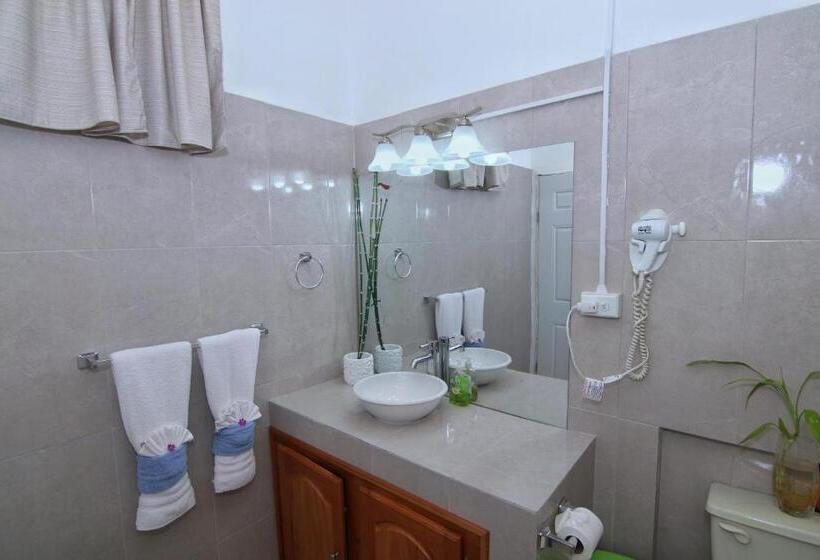 הוסטל Rainforest Haven Inn