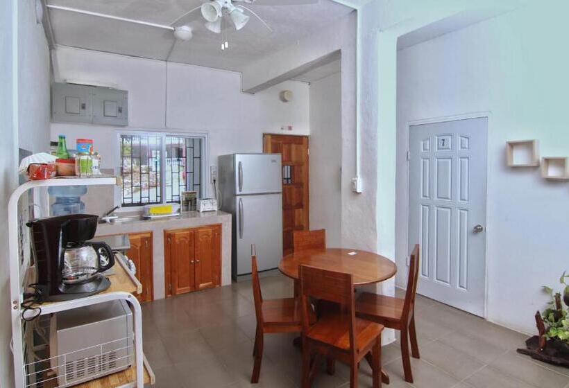 הוסטל Rainforest Haven Inn