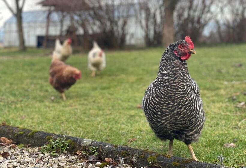 ホテル Vogelhubergut   Familie Scherleithner