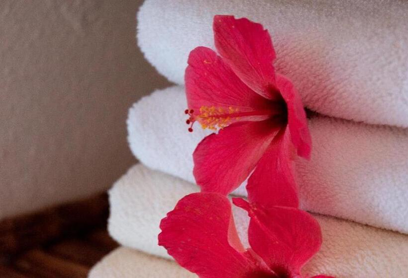 پانسیون Casalina