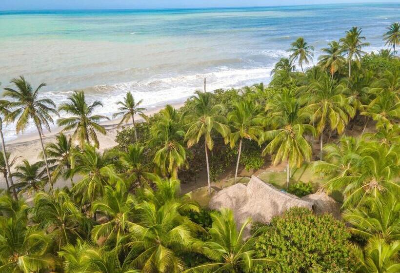 پانسیون Casalina