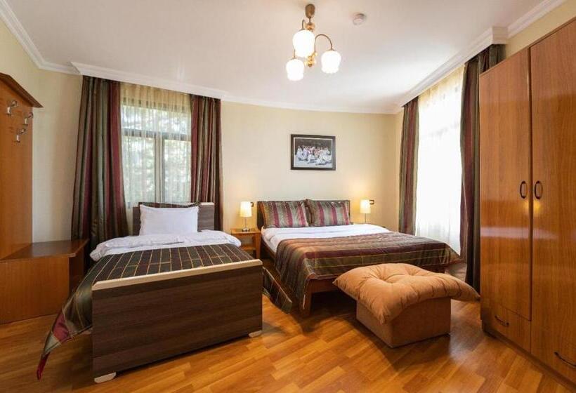 פנסיון Vila Arber