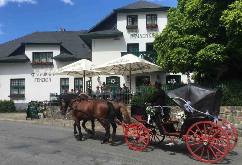 Pension Brusenka