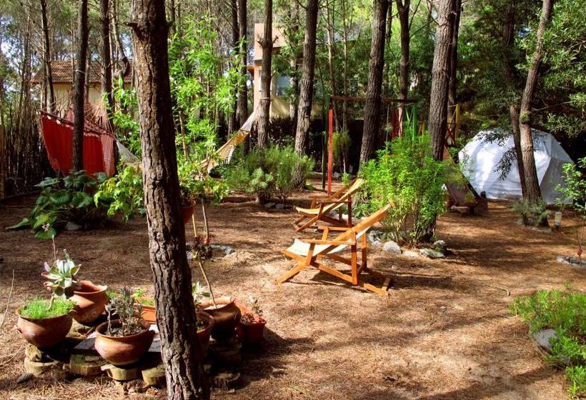 Rincón De Los Vientos