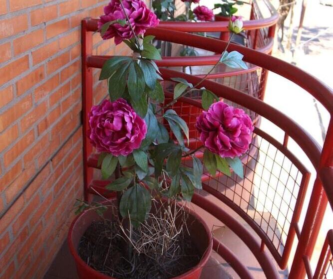 فندق صغير Hosteria Maryland