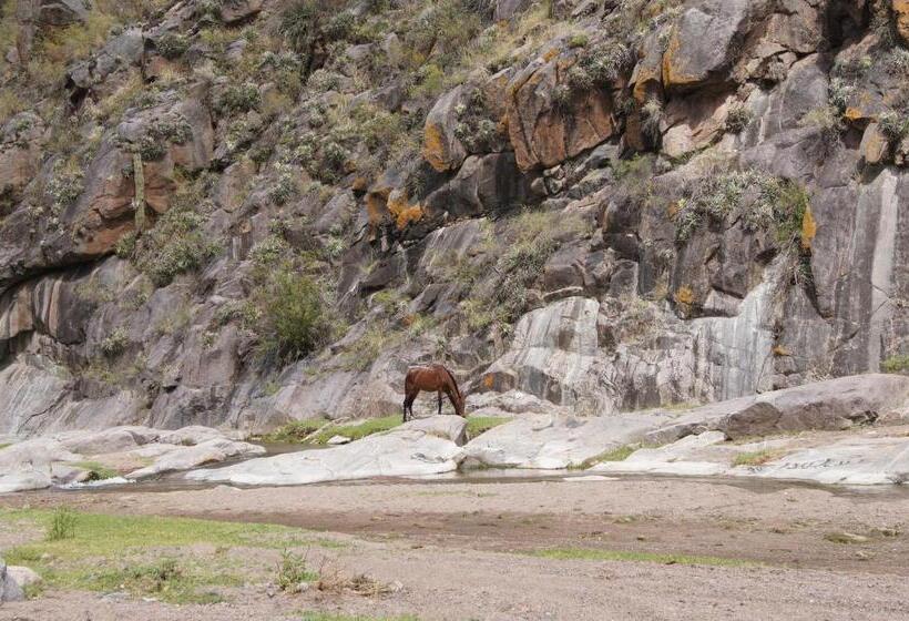 Altos Del Valle