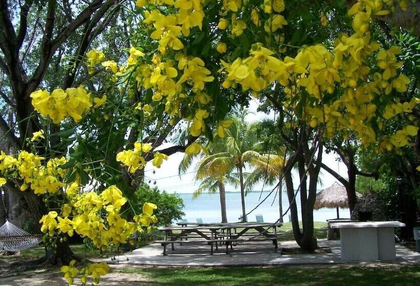 호스텔 Rock Reef Resort