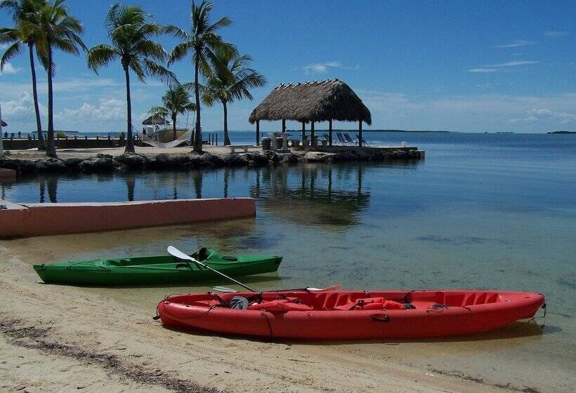 호스텔 Rock Reef Resort