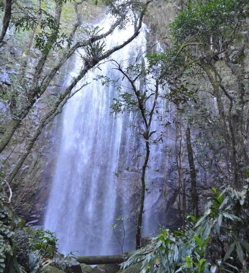 膳宿费 Pousada Pinhal Alto