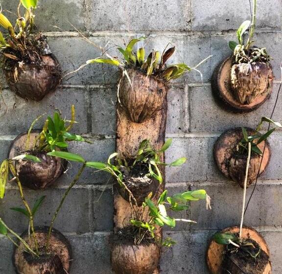 پانسیون Pousada Recanto Trancoso