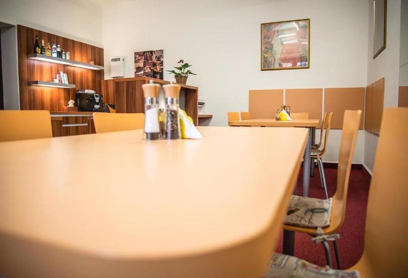 پانسیون U Dómu Sv. Václava