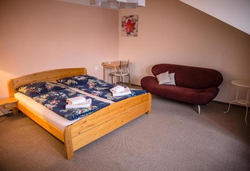 پانسیون U Dómu Sv. Václava