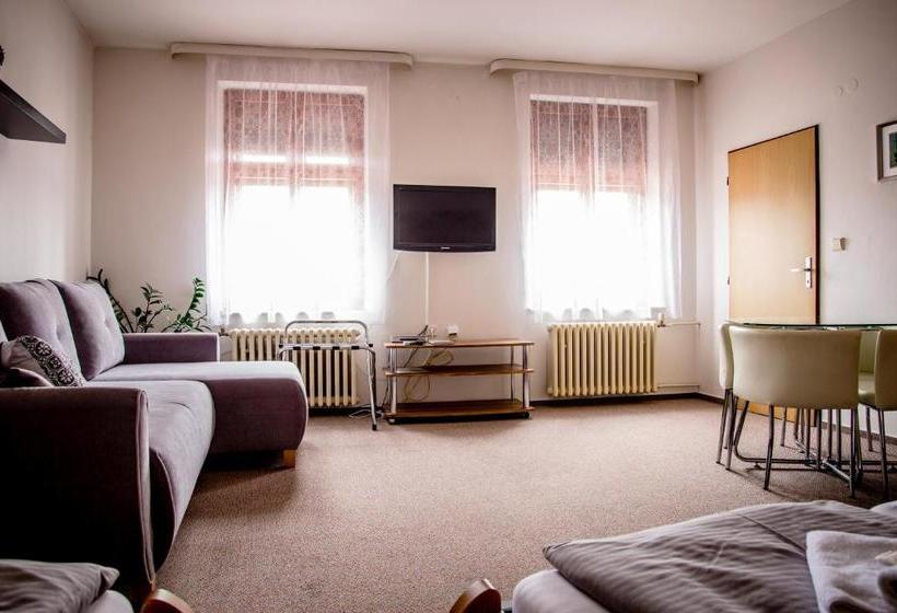 پانسیون U Dómu Sv. Václava