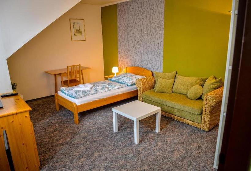 پانسیون U Dómu Sv. Václava