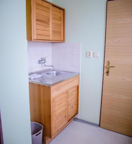 پانسیون U Dómu Sv. Václava