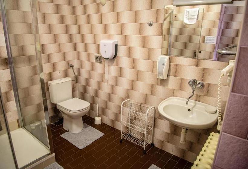 پانسیون U Dómu Sv. Václava