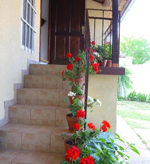 پانسیون Villa Ricz