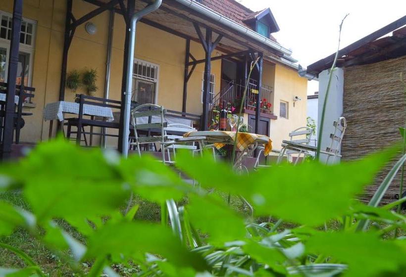 پانسیون Villa Ricz