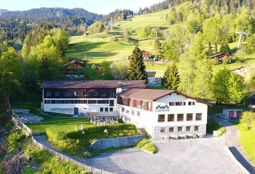 Hostel C'est La Vie