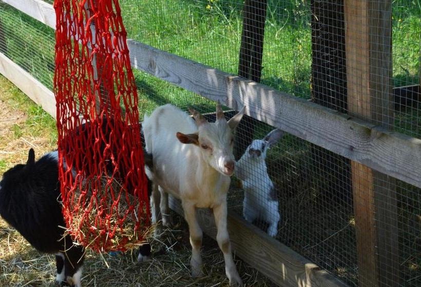 پانسیون Die Sonnenblume