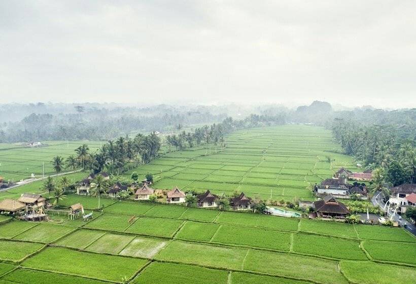여관 Kabinawa Ubud Villas By Pramana Villas