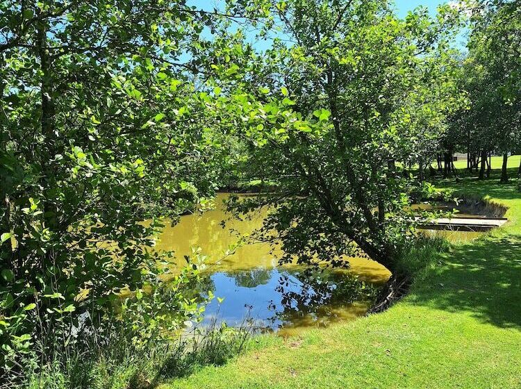 בית מלון כפרי Thornbury Holiday Park