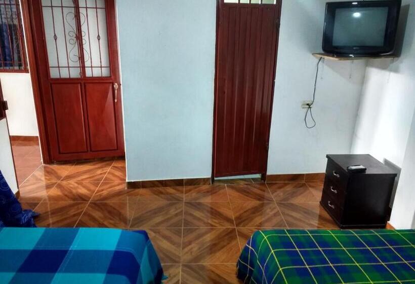 هاستل El Turista