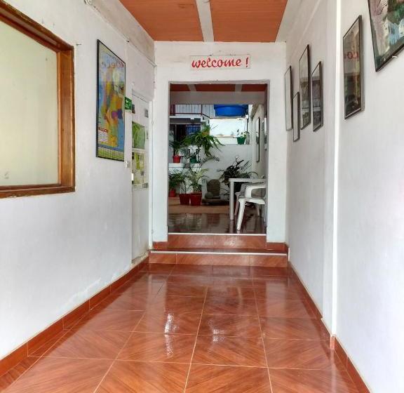 هاستل El Turista