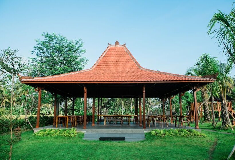 민박 Adil Villa And Resort