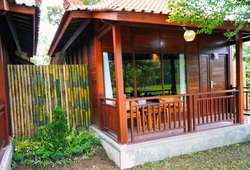 민박 Adil Villa And Resort