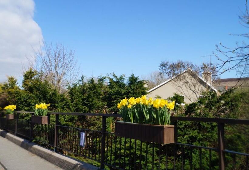 مبيت وإفطار Ardrinane House