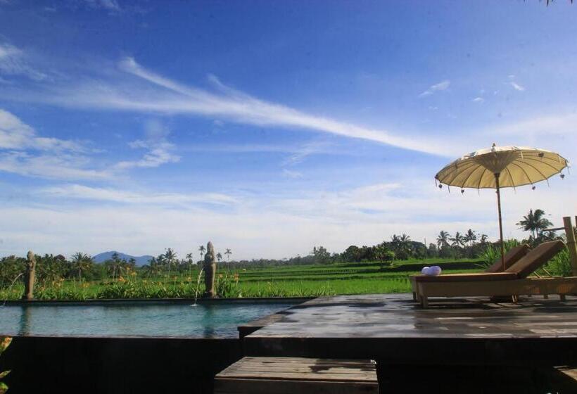 민박 Padi Bali Retreat